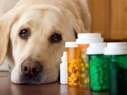 PARAFARMACIE – autorizzazione vendita farmaci uso veterinario